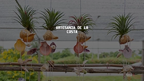artesania de la costa costa artesania